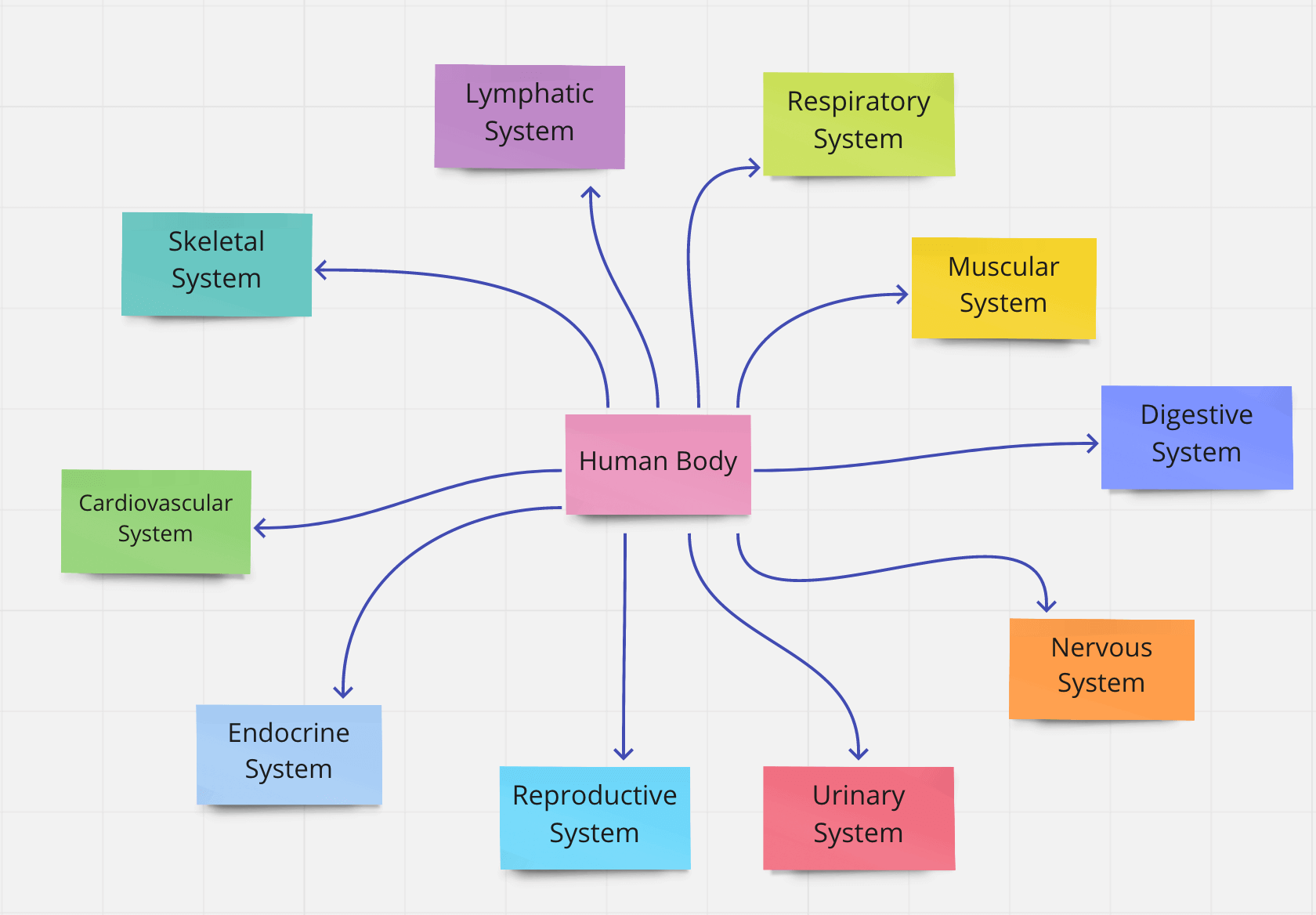 respiratory system concept map