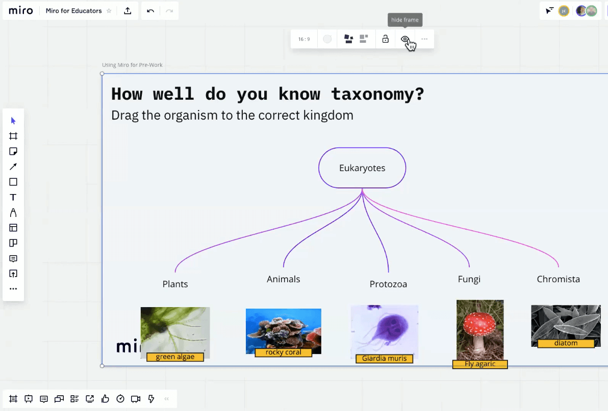 Miro: the Visual Collaboration Platform You Need In Your Online Classroom -  The FLTMAG