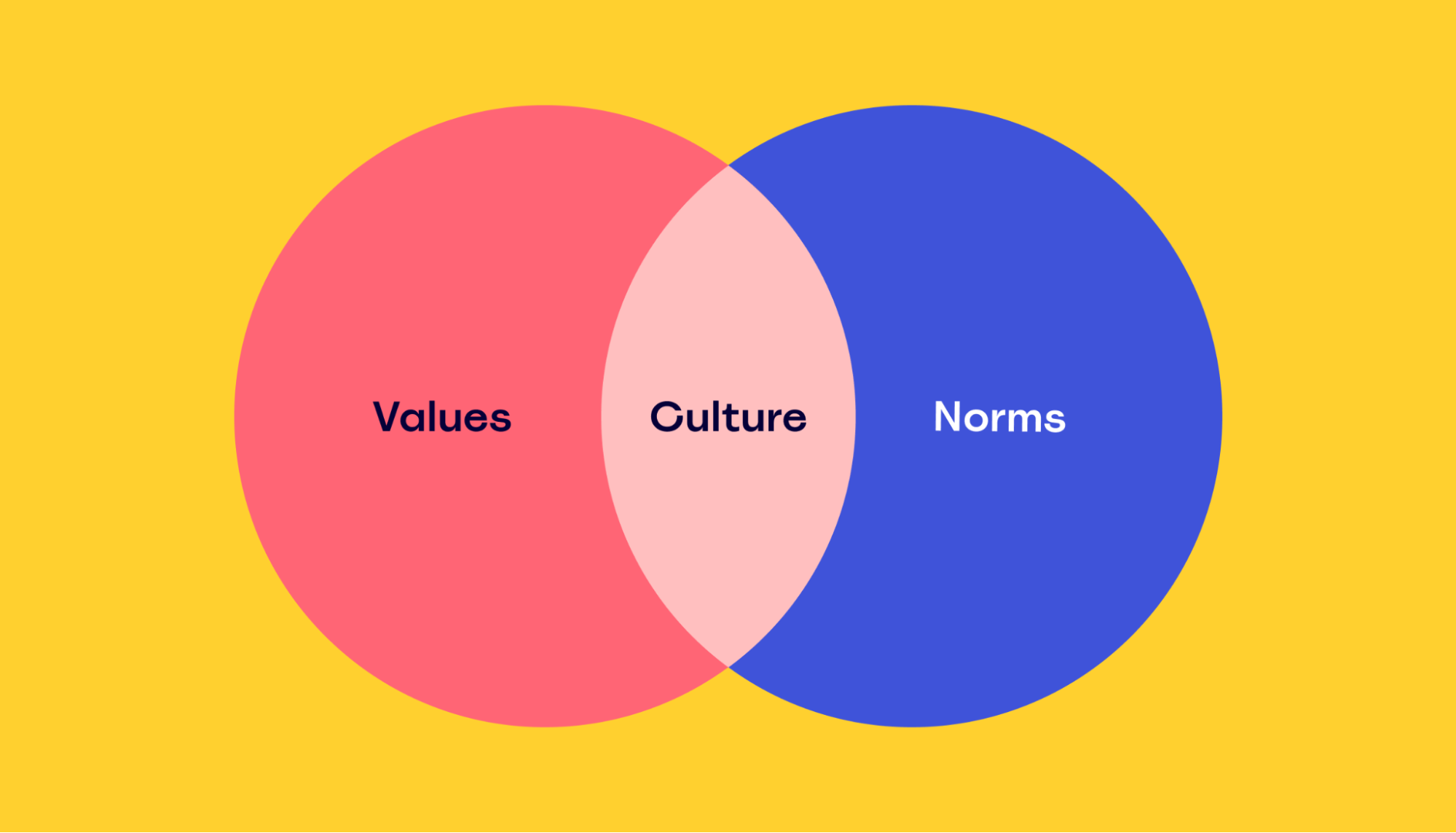 Values, culture, and norms